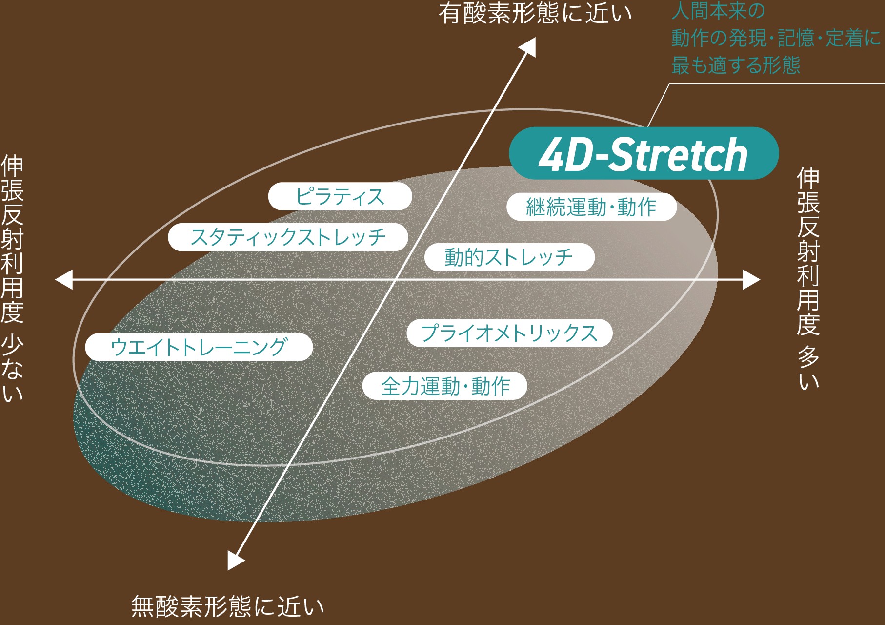 4D-Stretchマシンのポジショニング図